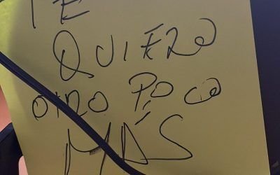 El amor de las pequeñas cosas